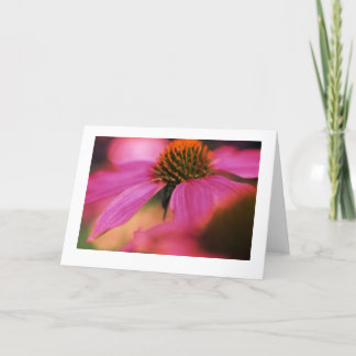 Cartão "Echinacea #4"