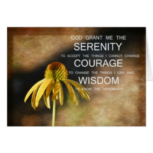 Cartão Echinacea da serenidade floral