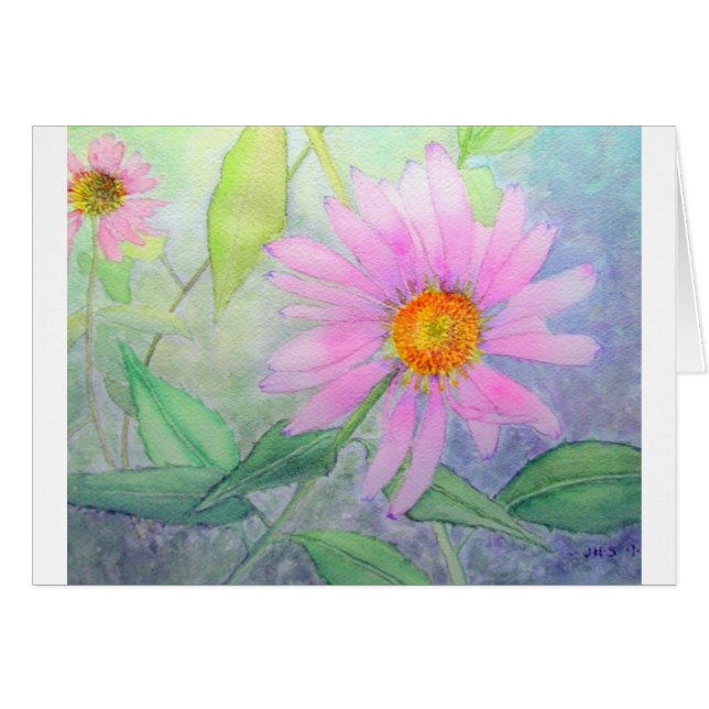Cartão Echinacea na flor (Frente Horizontal)