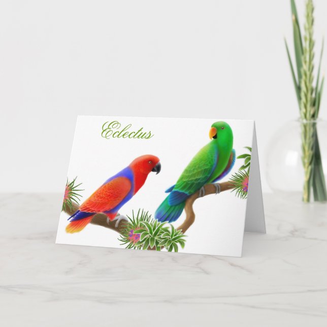 Cartão Eclectus Birds Greeting Card (Frente)
