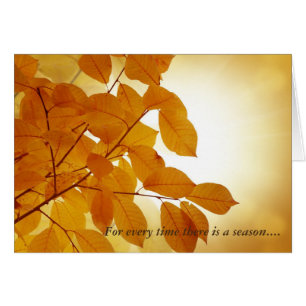 Cartão Eclesiastes 3 Season Comforting