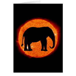 Cartão Eclipse Solar de Elefante