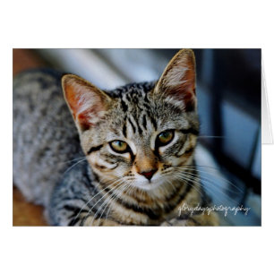 Cartão Eco, glorydaysphotography