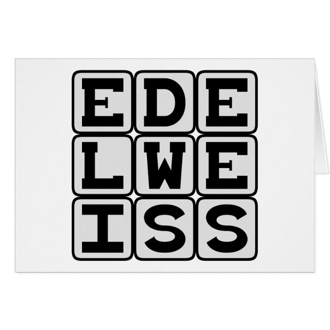 Cartão Edelweiss, Flor Branca (Frente Horizontal)