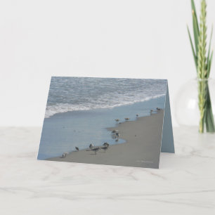 Cartão Edge Walkers