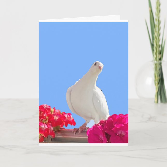 Cartão Editável Pombo Branco (Frente)