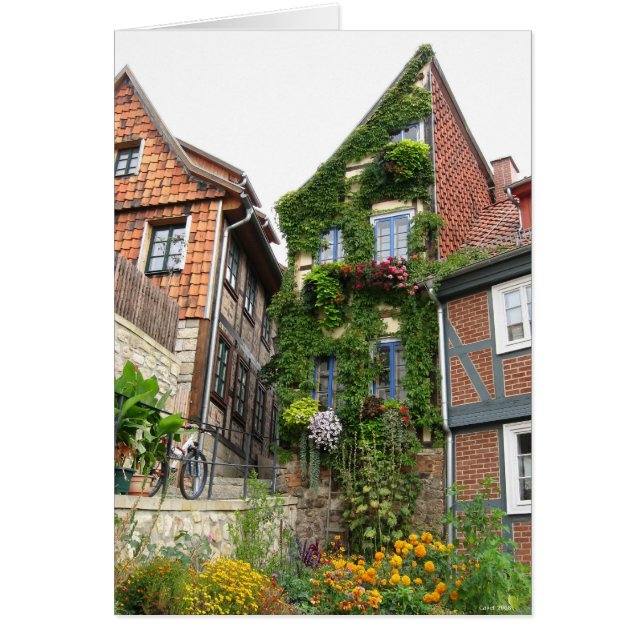 Cartão efeito estufa (Frente)