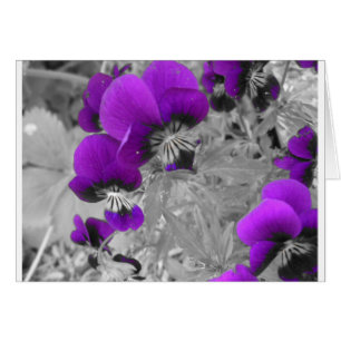 Cartão Efeito Pansy