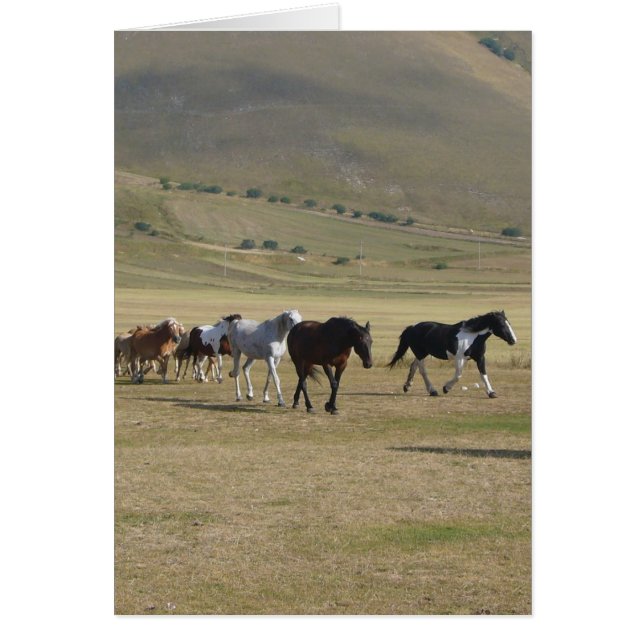Cartão Efetivo de Cavalos (Frente)