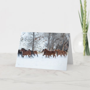 Cartão Efetivo de Cavalos em Neve