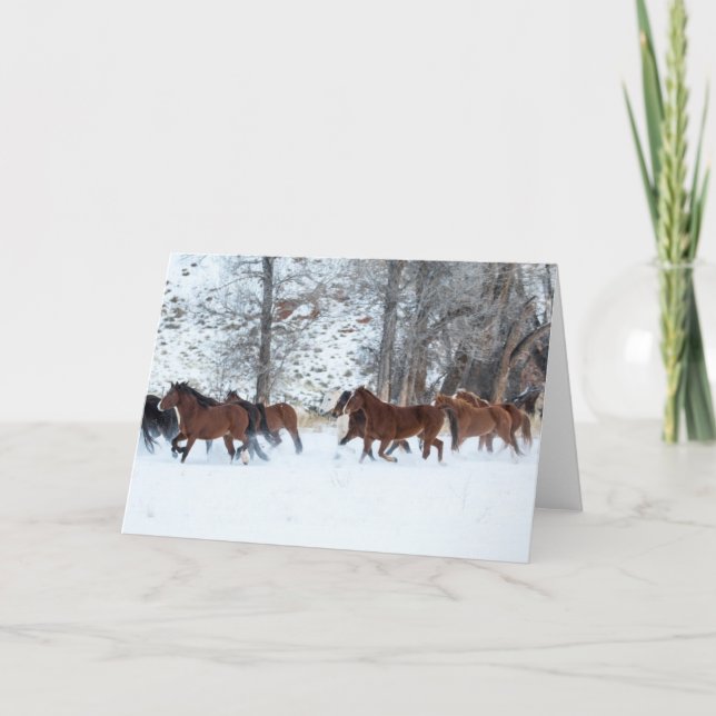 Cartão Efetivo de Cavalos em Neve (Frente)