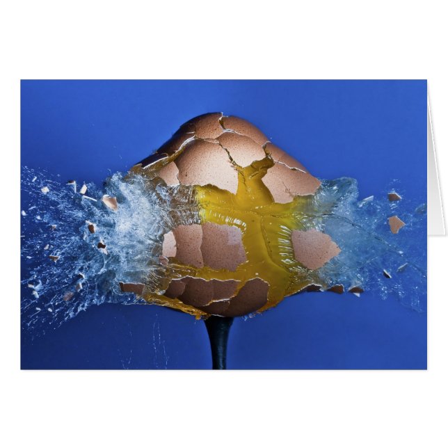 Cartão Eggceptional (Frente Horizontal)