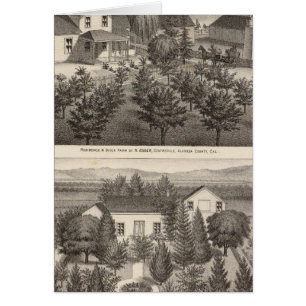 Cartão Egger, residências de Haines, fazendas