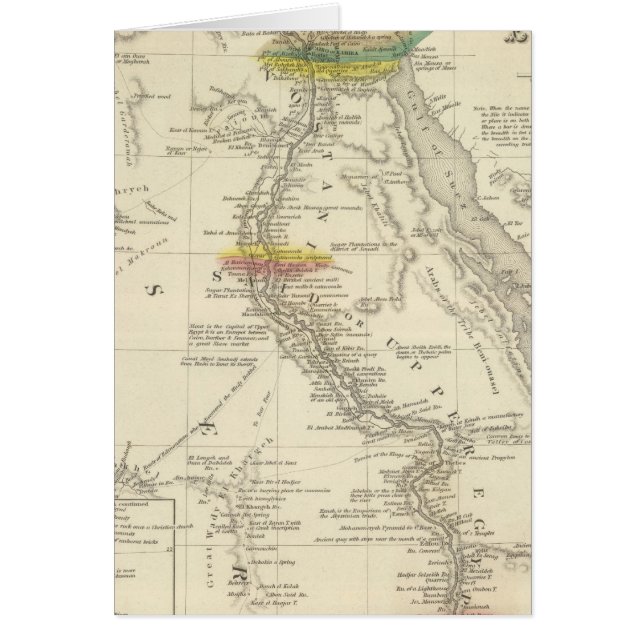 Cartão Egito 7 (Frente)