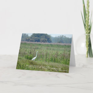 Cartão Egret in Field Of Flowers Card