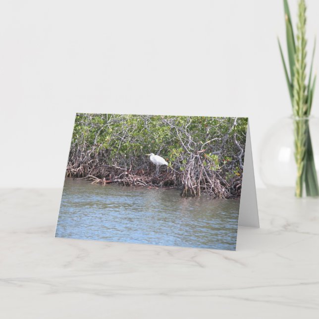 Cartão Egret in Mangroves (Frente)