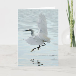Cartão Egret nevado de voo