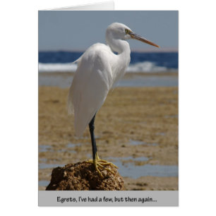 Cartão Egrets eu tive alguns