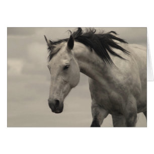 Cartão Égua cinzenta