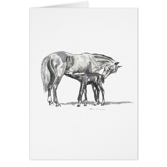 Cartão Égua e potro (Frente)