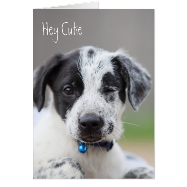 Cartão Ei Cutie (Frente)