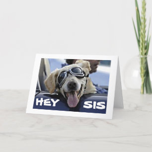 CARTÃO EI ***SIS*** TENHA UM ANIVERSÁRIO LEGAL DO CACHORR