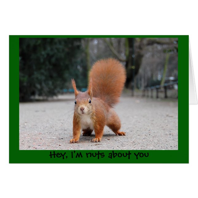 Cartão Ei, sou loucos sobre você (Frente Horizontal)