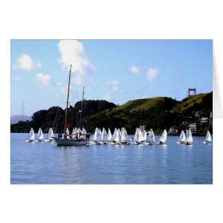 Cartão El Toro Race San Francisco Bay