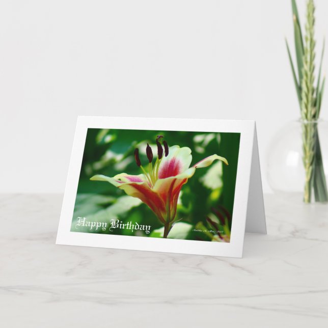 Cartão Ela caminha de beleza... (Frente)