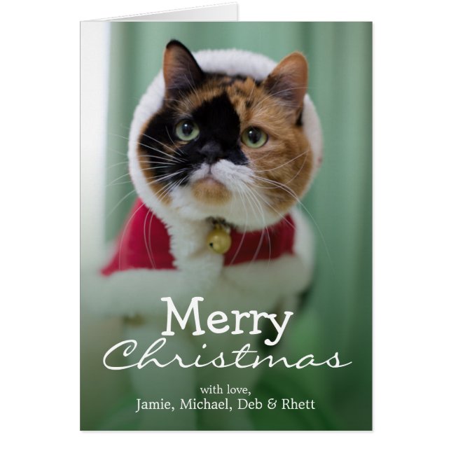 Cartão Ela está vestindo uma fantasia de Natal (Frente)