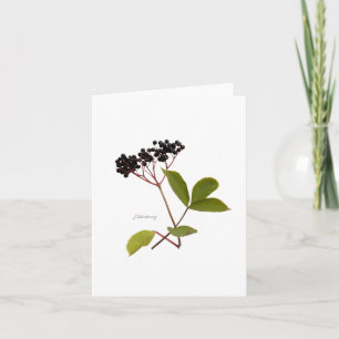 Cartão Elderberry