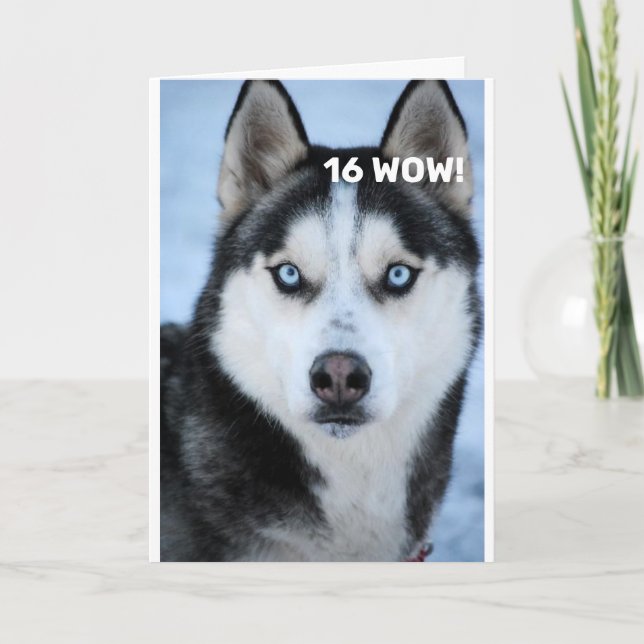 Cartão ELE DIZ POR QUE MOTIVO "16º ANIVERSÁRIO" HUMOR Car (Frente)