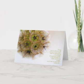 Cartão "Ele lhes deu habilidade para exe...