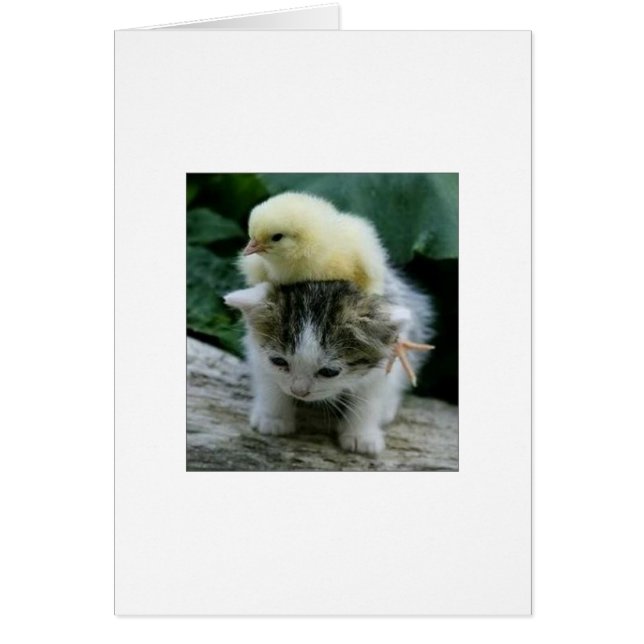 Cartão Ele não é pesado; ele é meu irmão (Frente)