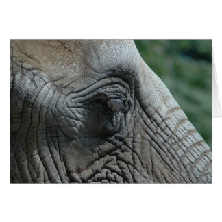 Cartão Elefante