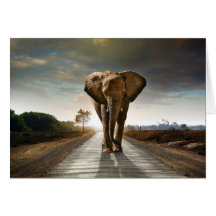 Elefante africano