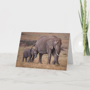Cartão Elefante Africano com Bebê