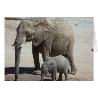 Cartão Elefante bebê com Mamãe