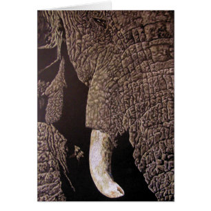 Cartão Elefante Bull