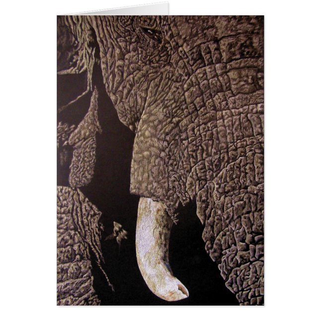 Cartão Elefante Bull (Frente)