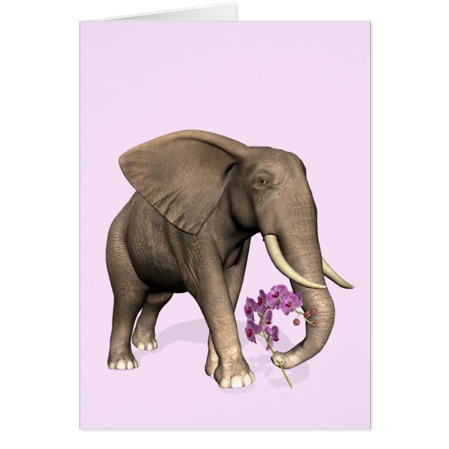 Cartão Elefante Com Orquídea Rosa (Frente)