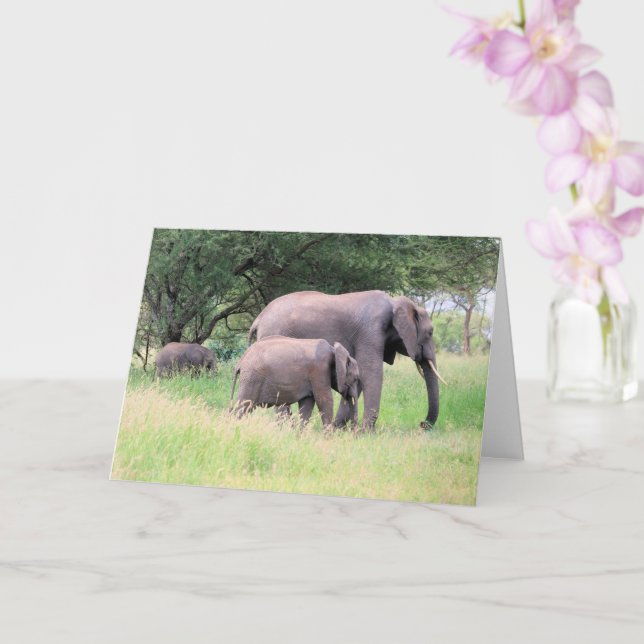 Cartão Elefante com vitelos Animais Selvagens Foto (Orquídea)