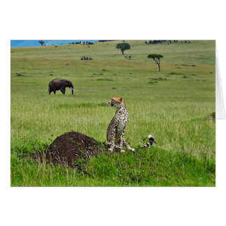 Cartão Elefante da chita