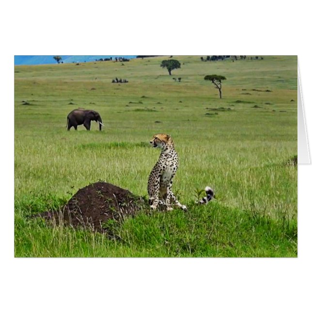 Cartão Elefante da chita (Frente horizontal)
