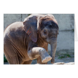 Cartão Elefante do bebê