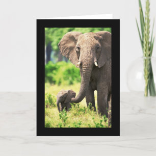 Cartão Elefante e bebê