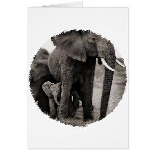 Cartão Elefante e Elefante para Bebês