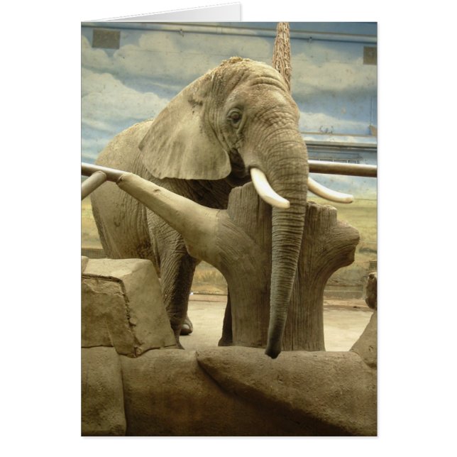 Cartão Elefante Love (Frente)