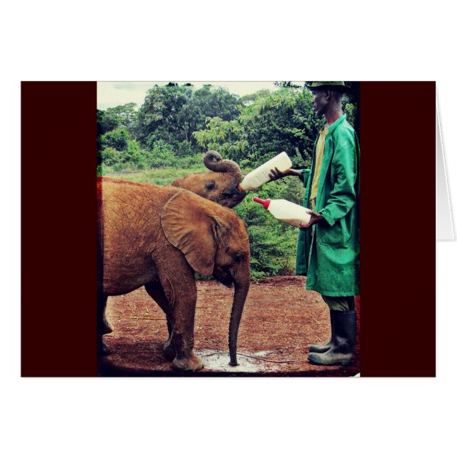 Cartão Elefantes Bebês - Tempo de Alimentação (Frente Horizontal)