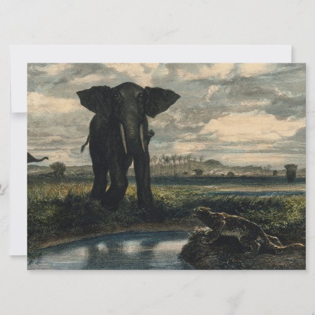 Cartão Elefantes e Pantera no Deserto Indiano (Frente)